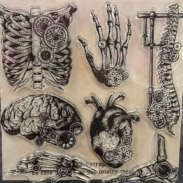 Tampon anatomie steampunk- T102