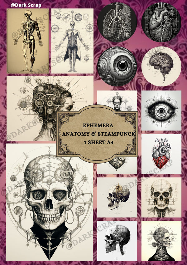 Papier scrapbooking Steampunk Anatomique - version digitale