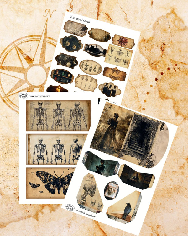 Ephemera Dark Academia 76 illustrations - P21