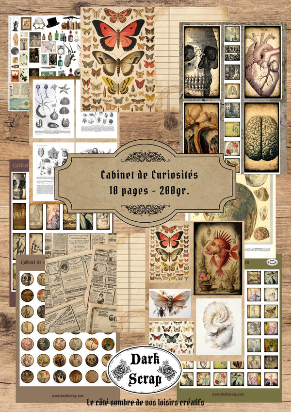Papier scrapbooking Cabinet de Curiosités - version numérique