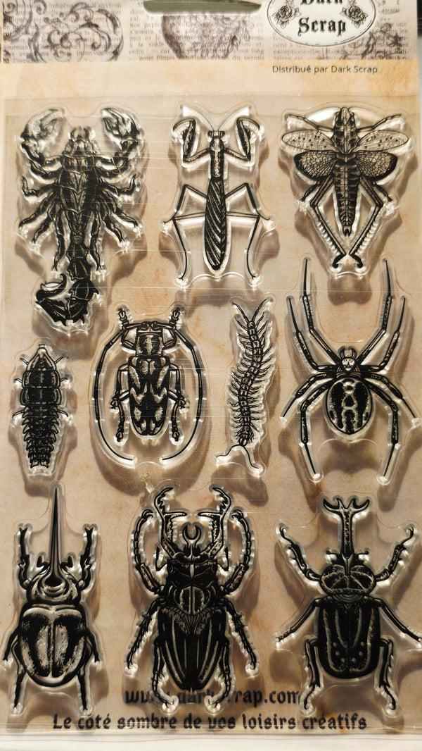 Tampon 10 Insectes- T165