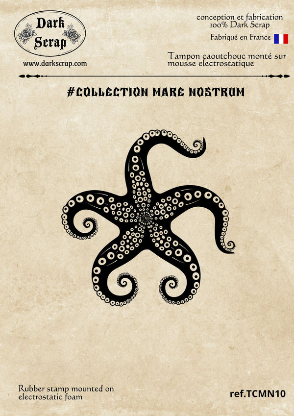 Tampon étoile de mer - TCMN10
